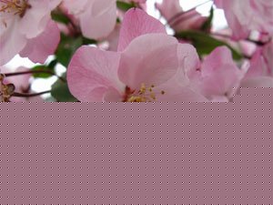 不孕的治疗—和田新华康妇科医院
