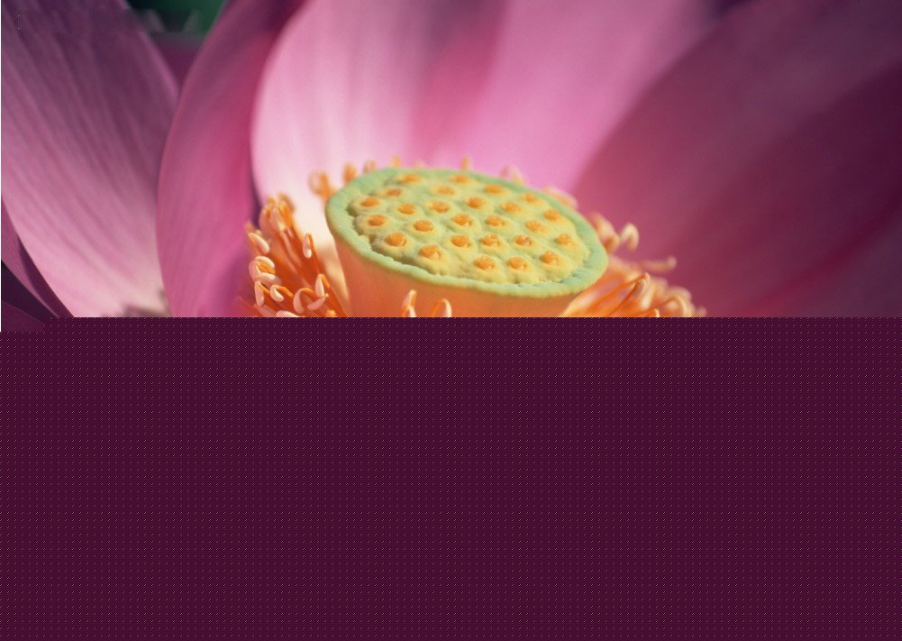 ʹʹĲʹ